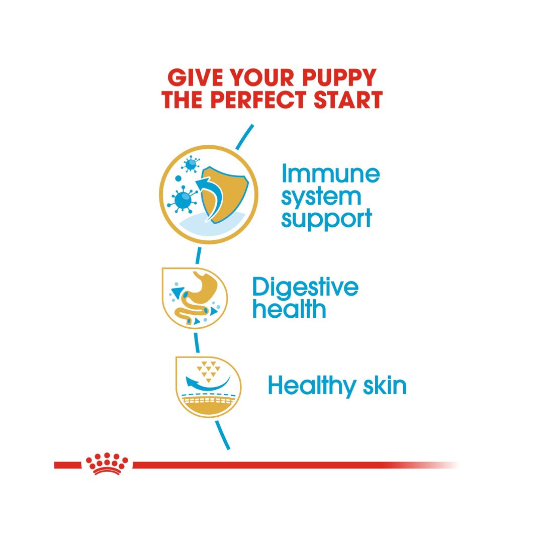 Royal Canin French Bulldog Puppy Dry Food - 3kg Bag - Benefits.