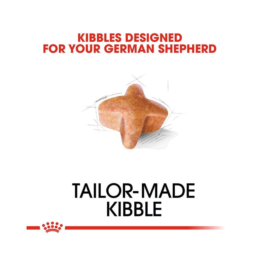 Royal Canin German Shepherd Adult Dog Dry Food Front Bag - Kibble Size.
