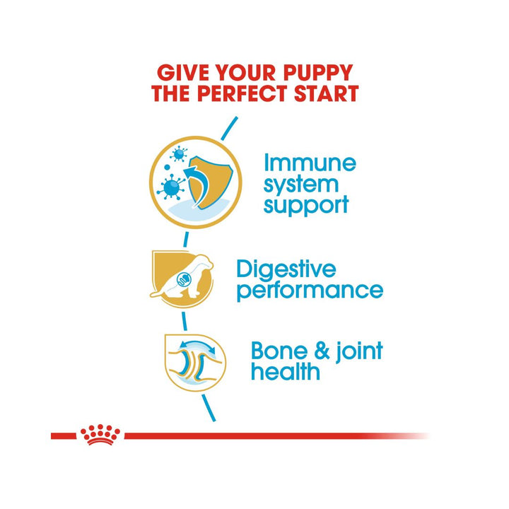 Royal Canin German Shepherd Premium dry puppy food is formulated specifically to support the growth and development of German Shepherd puppies 4.
