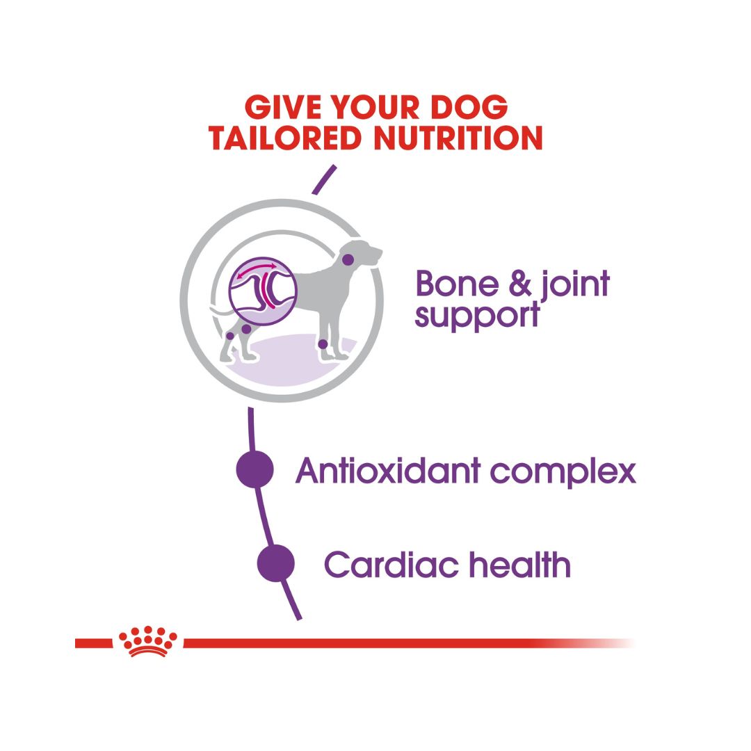 Royal Canin Giant Adult Dog Dry Food - Benefits 