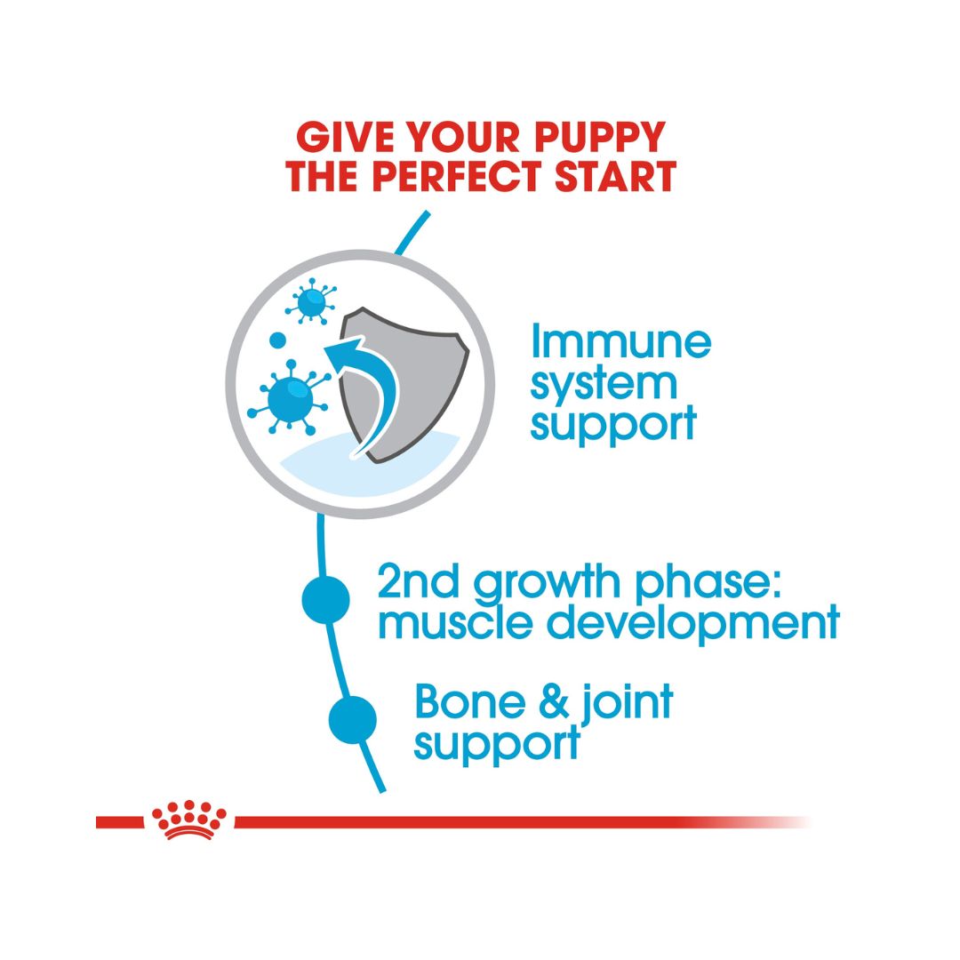 Royal Canin Giant Junior Dog Dry Food - Healthy Dog Food