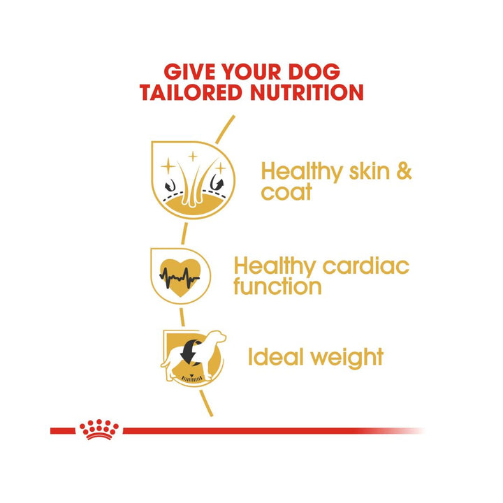 The Royal Canin Golden Retriever dry food has been formulated and designed to meet this breed’s specific needs. Complete feed for dogs - Especially for adult and mature Golden Retrievers - Over 15 months old 2.