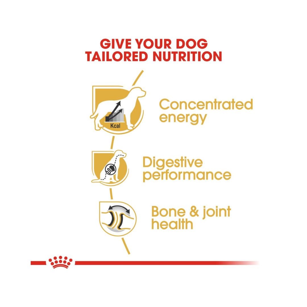 Royal Canin Great Dane Adult Dog Dry Food - Nutritions 