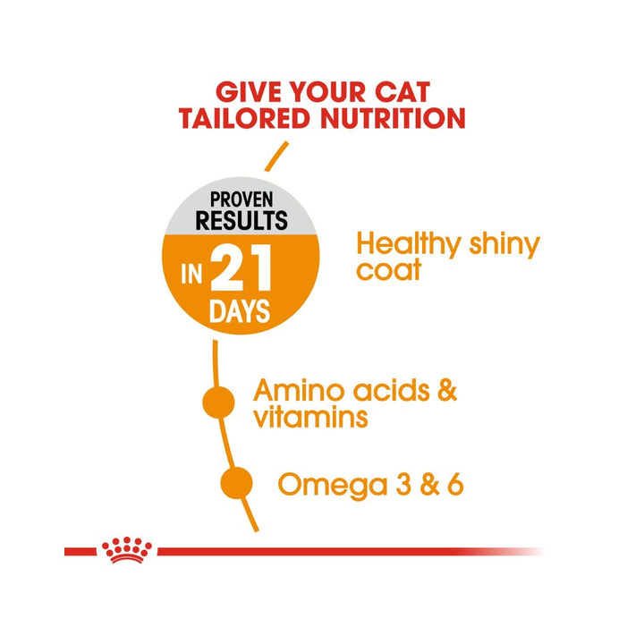 Royal Canin Hair & Skin Dry Cat Food - Food nutrition 
