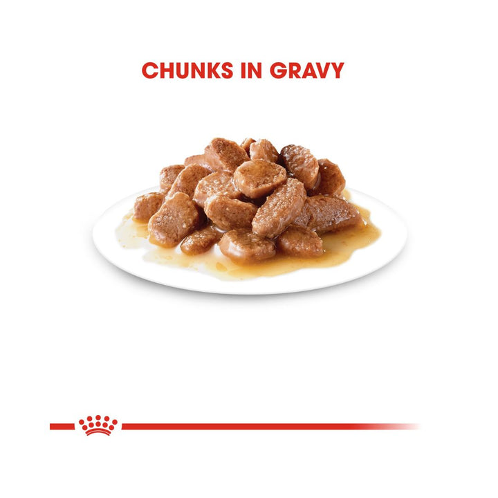 Royal Canin Hairball Gravy Cat Wet Food Complete feed for adult cats (thin slices in gravy) helps your cat eliminate ingested hairballs 5.