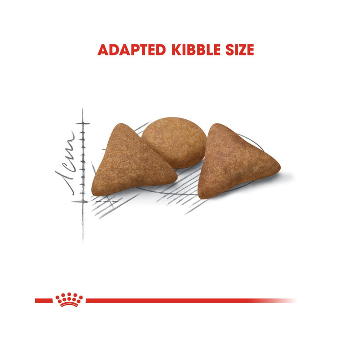 Royal Canin Indoor Appetite Control Dry Cat Food for cats 1 to 7 years old with a tendency to overeat 3.