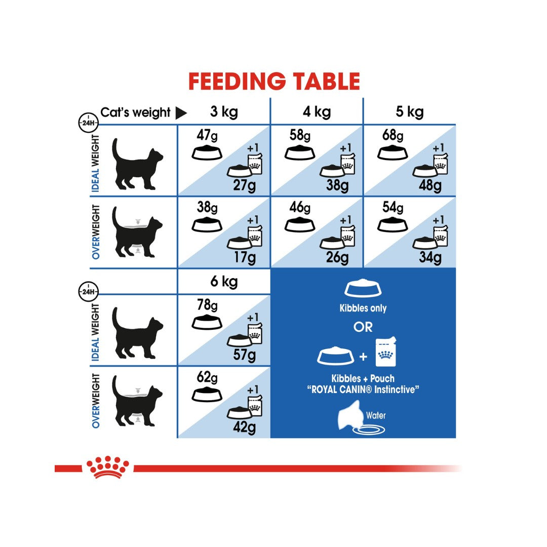 Royal Canin Indoor Appetite Control Dry Cat Food for cats 1 to 7 years old with a tendency to overeat 5.