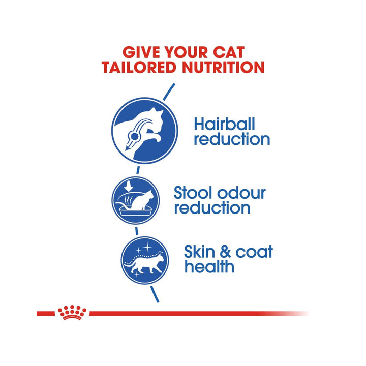 Royal Canin Indoor Long Hair Dry Cat Food - Food Nutritions 