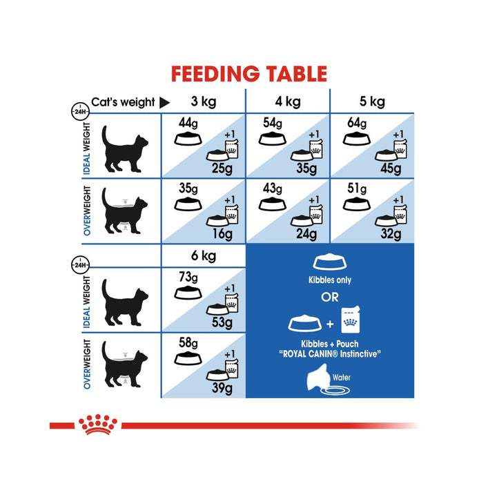 Royal Canin Indoor Long Hair Dry Cat Food - Feeding Guide 