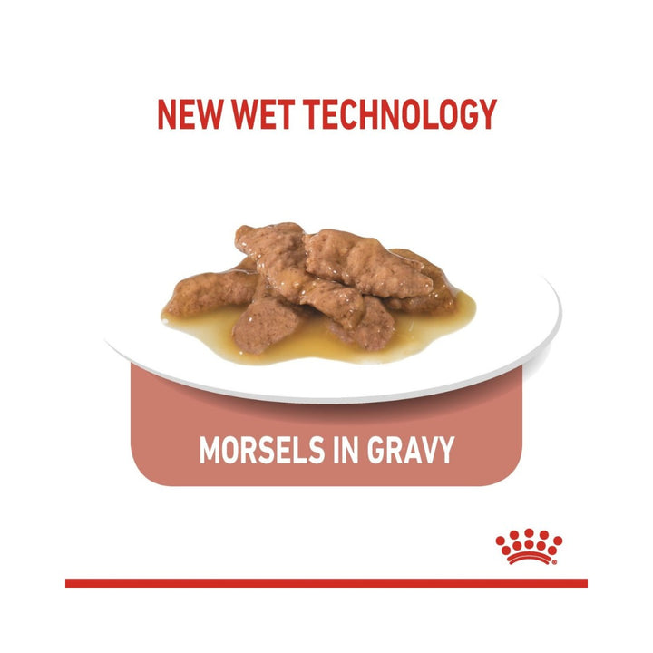 Royal Canin Indoor Sterilised 7+ Gravy Cat Wet Food for indoor cats over 7 years old (morsels in gravy) 2.