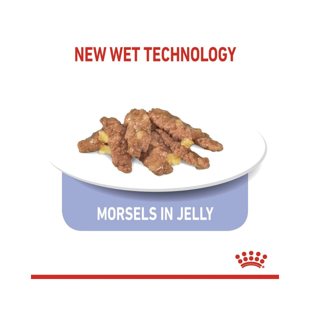 Royal Canin Indoor Sterilised 7+ Jelly Cat Wet Food - Kibble Size