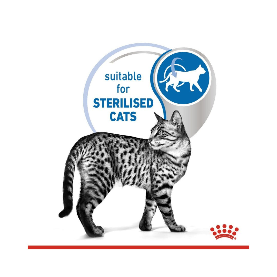 Royal Canin Indoor Sterilised 7+ Jelly Cat Wet Food AD