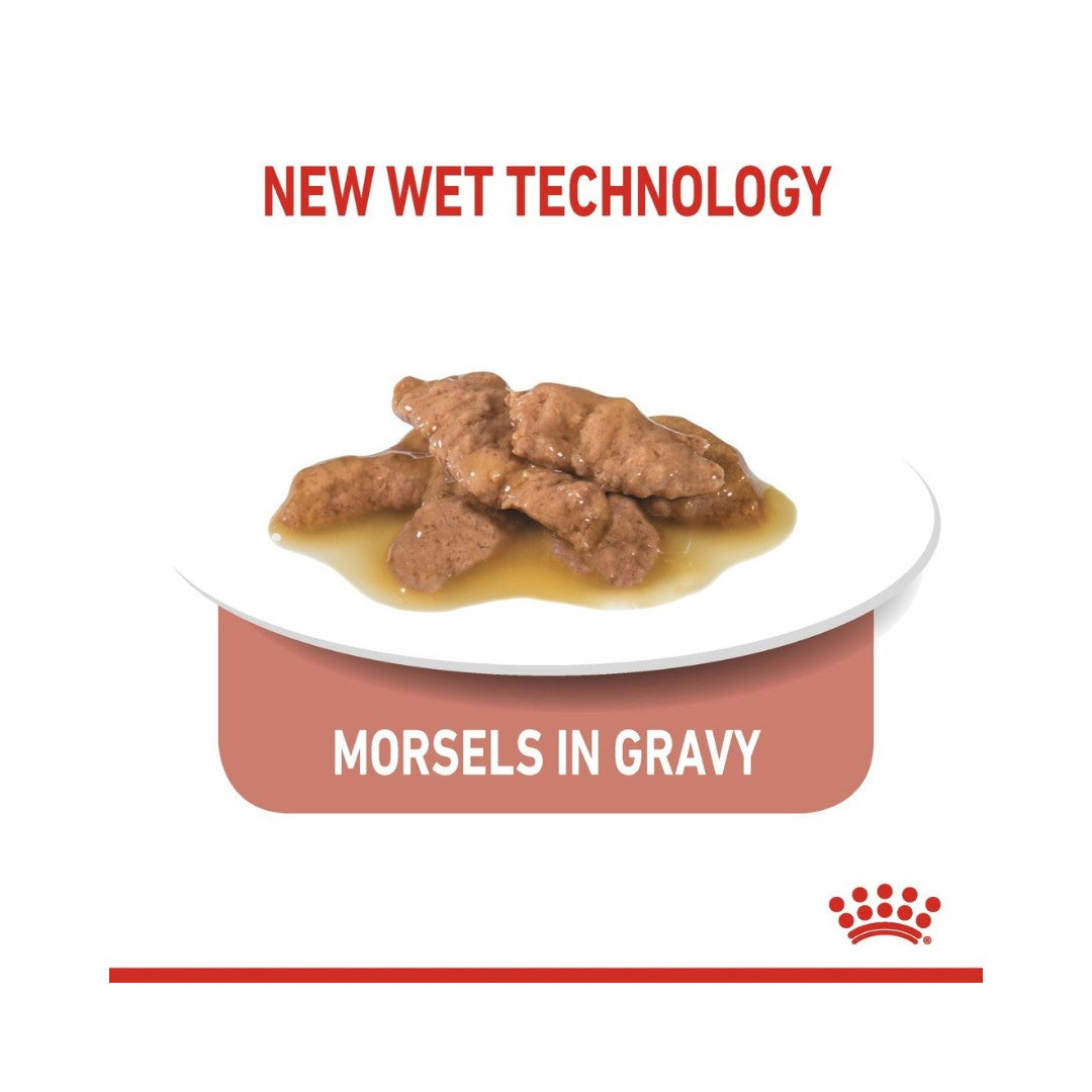 Royal Canin Indoor Sterilised Gravy Cat Wet Food: Balanced nutrition for indoor cats. - Kibbles Size