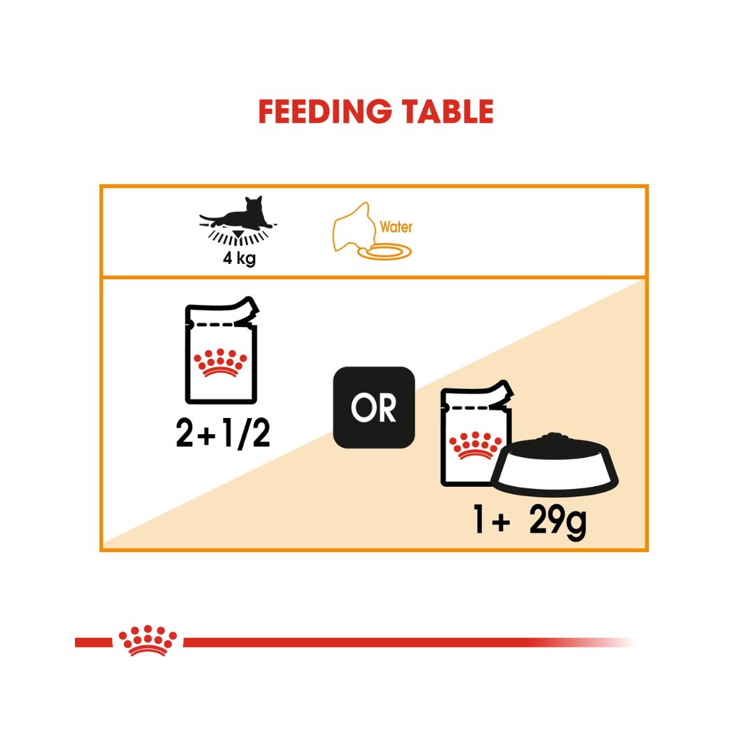 Royal Canin Intense Beauty in Gravy Adult Wet Cat Food: Thin slices in savory gravy for coat health. Feeding Guide 