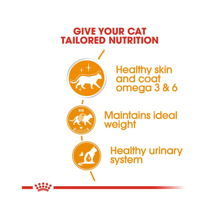 Royal Canin Hair &amp; Skin Care in Jelly Wet Cat Food: Supports healthy skin and coat. Food Benefits 