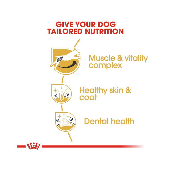 Royal Canin Jack Russell Adult Dog Dry Food developed the Jack Russell diet to meet this magnificent breed’s unique needs 3.