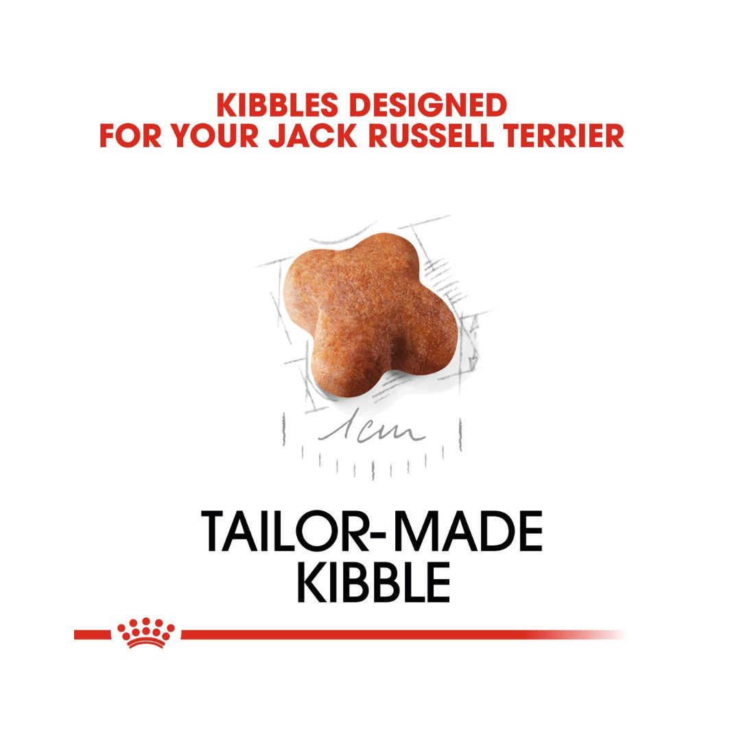 Royal Canin Jack Russell Puppy Dry Food - Kibble Size 