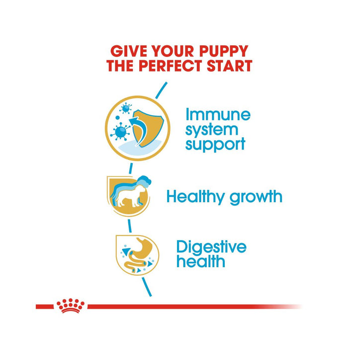 Royal Canin Jack Russell Puppy Dry Food Complete feed for Puppies - Especially for Jack Russell Terrier puppies - Up to 10 months old 4.