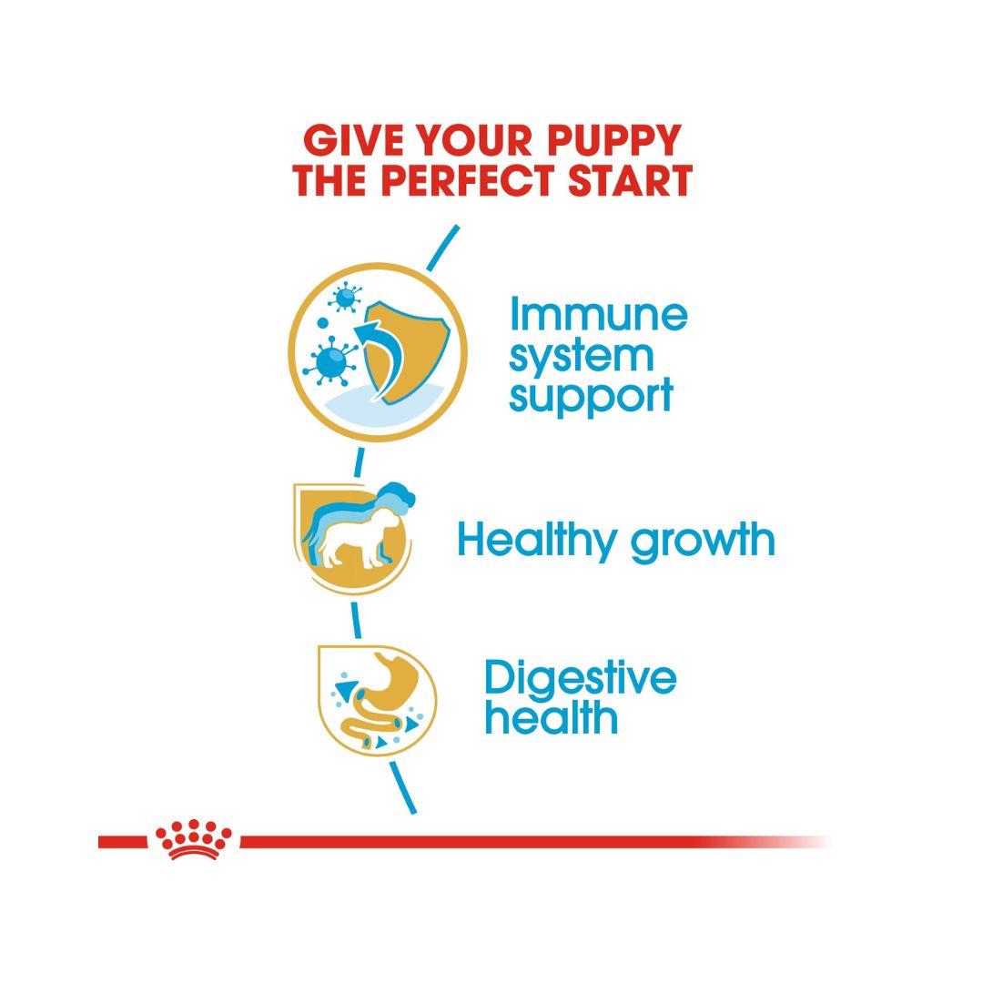 Royal Canin Jack Russell Puppy Dry Food - Benefits 