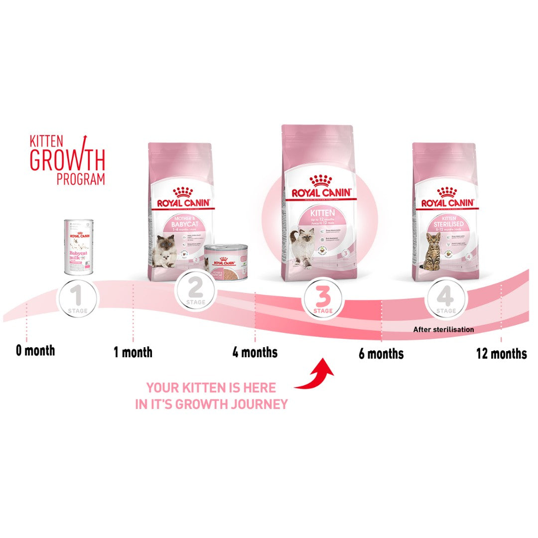Royal Canin Kitten Dry Food - Age