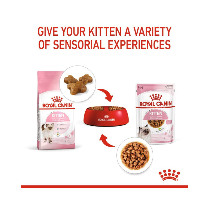 Royal Canin Kitten Gravy Wet Food Complete feed for 3rd age kittens up to 12 months old (thin slices in gravy) 8.