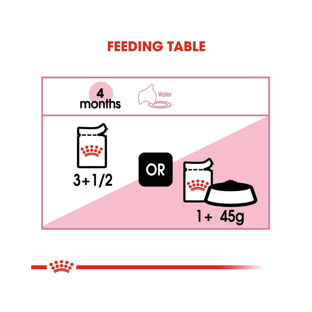 Royal Canin Kitten Jelly Wet Food - Feeding Guide 
