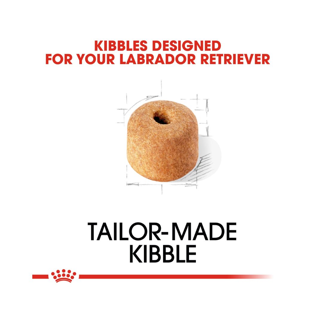 Royal Canin Labrador Adult Dog Dry Food - Kibble Size 