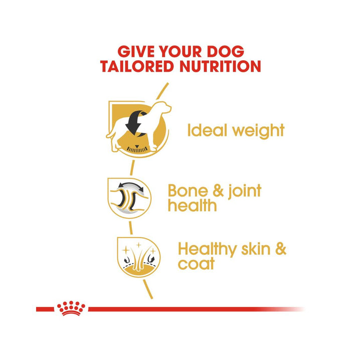Royal Canin Labrador food has been formulated and designed to meet this breed’s unique needs. Complete feed for Labrador dog 3.