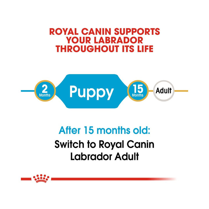 Royal Canin Labrador Retriever Puppy Dry Food - Age and Size