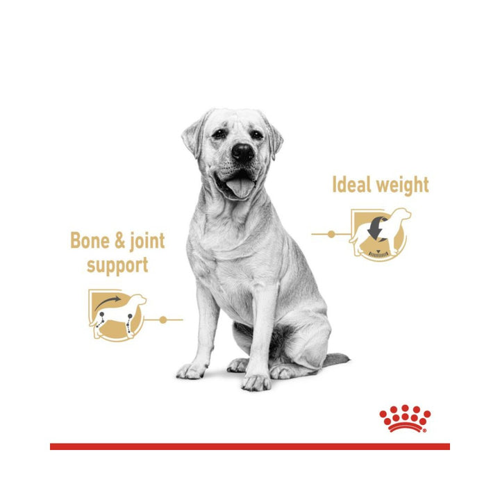 Royal Canin Labrador Retriever Gravy Dog Wet Food - Wet food chunks in gravy for adult and mature Labradors. Food benefits 