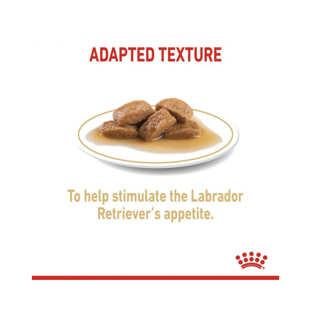 Royal Canin Labrador Retriever Gravy Dog Wet Food - Wet food chunks in gravy for adult and mature Labradors. Kibble Size