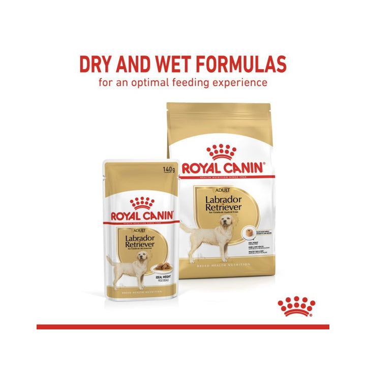 Royal Canin Labrador Retriever Gravy Dog Wet Food - Wet food chunks in gravy for adult and mature Labradors. with Dry food