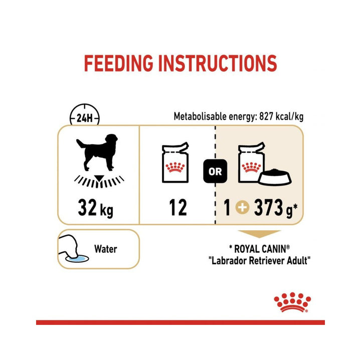 Royal Canin Labrador Retriever gravy dog wet food, complete feed for dogs - especially for adult and mature labrador retrievers - over 15 months old (chunks in gravy) 7. 