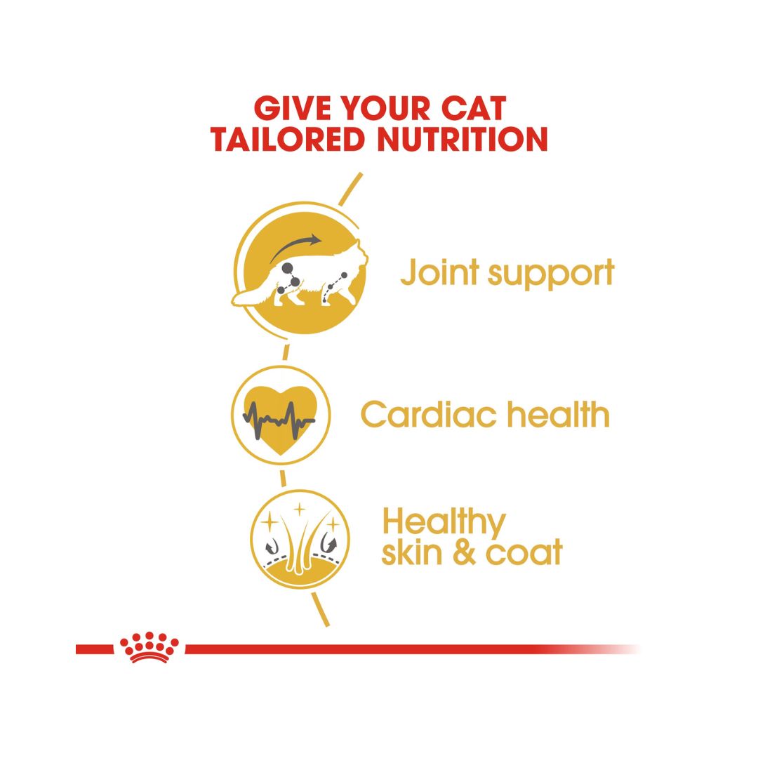 Royal Canin Maine Coon adult cat dry food for adult Maine Coon cats over 15 months old is specially formulated with the needs of this particular breed in mind 2ROYAL CANIN® Maine Coon Adult Cat Dry Food - Tailored nutrition for Maine Coon cats. Supports joint, dental, urinary, and cardiac health. Benefits 