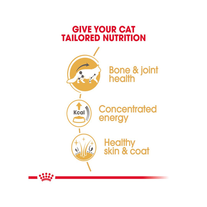 Royal Canin Maine Coon Gravy Cat Wet Food Nutritions 