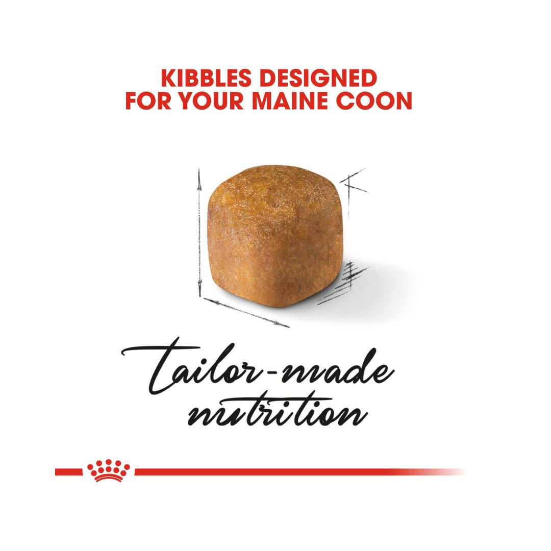 ROYAL CANIN® Maine Coon Kitten Dry Food - Kibble Size 