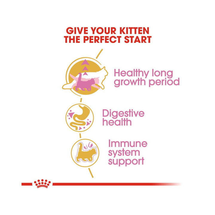 ROYAL CANIN® Maine Coon Kitten Dry Food - Full benefits 