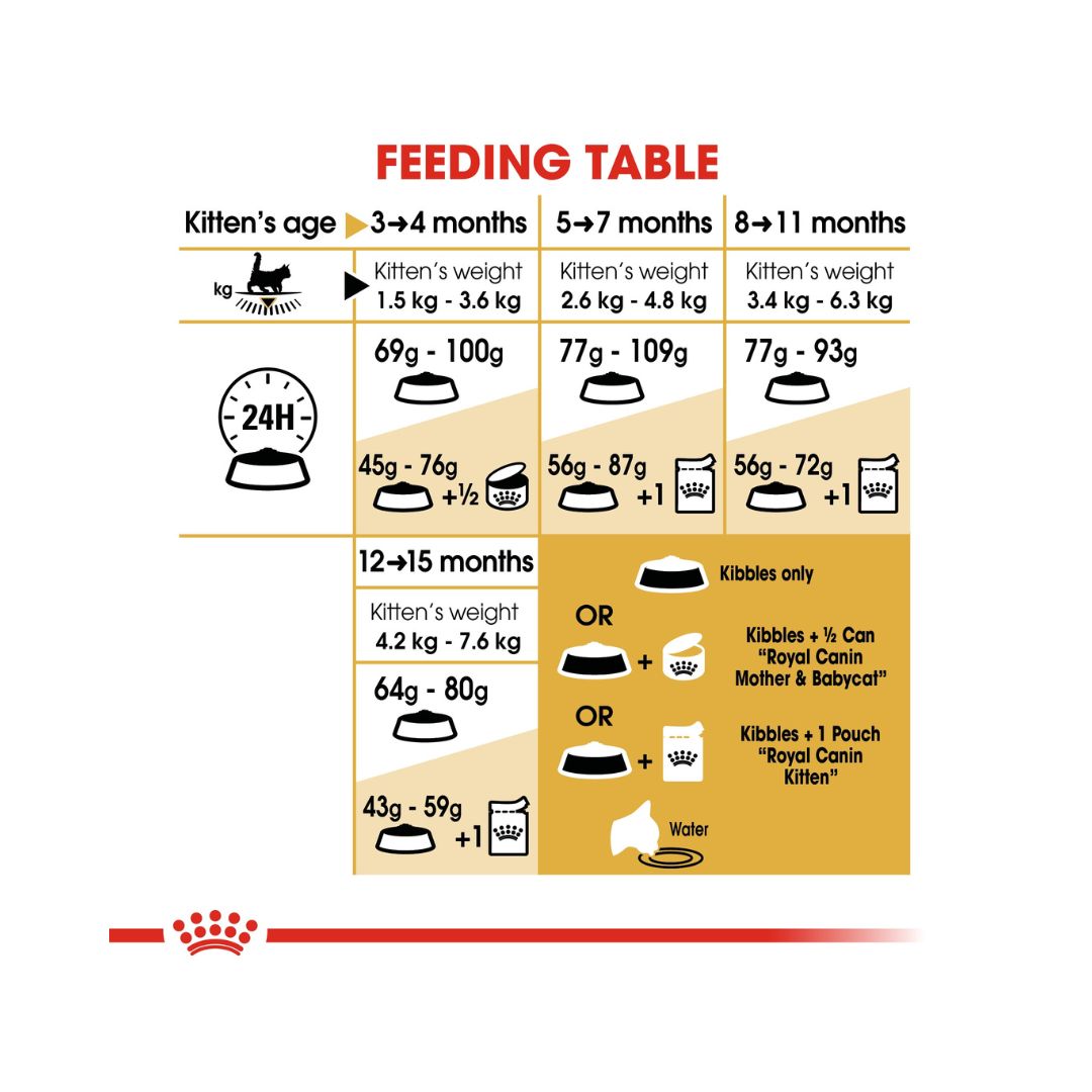 ROYAL CANIN® Maine Coon Kitten Dry Food - Feeding Guide 