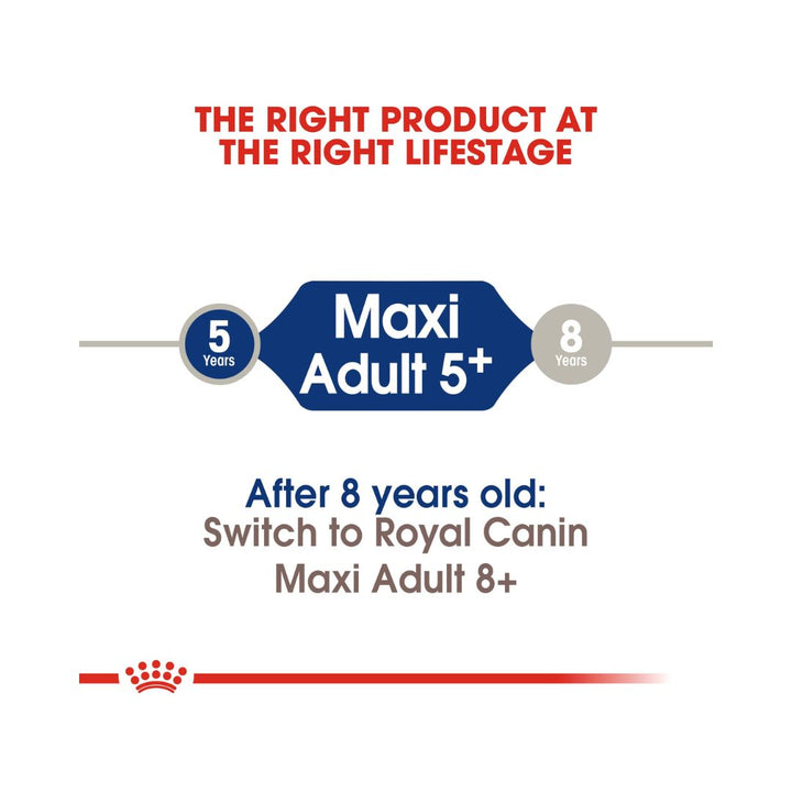 Royal Canin Maxi Adult 5+ Dog Dry Food Complete feed For mature large breed dogs 26 to 44 kg Over 5 years old 3.