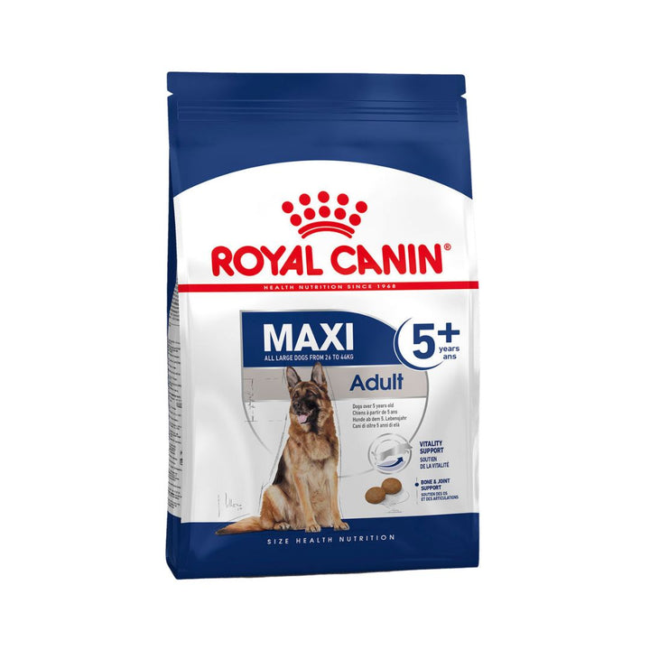 Introducing ROYAL CANIN® Maxi Adult 5+ Dog Dry Food, a comprehensive feed designed to meet the unique nutritional needs of mature large breed dogs weighing 26 and 44 kg and over five years old. 