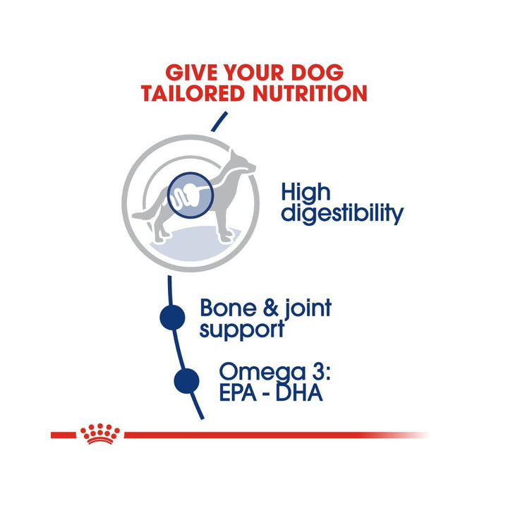ROYAL CANIN® Maxi Adult food will help maintain an ideal weight that your dog can comfortably support 4. 