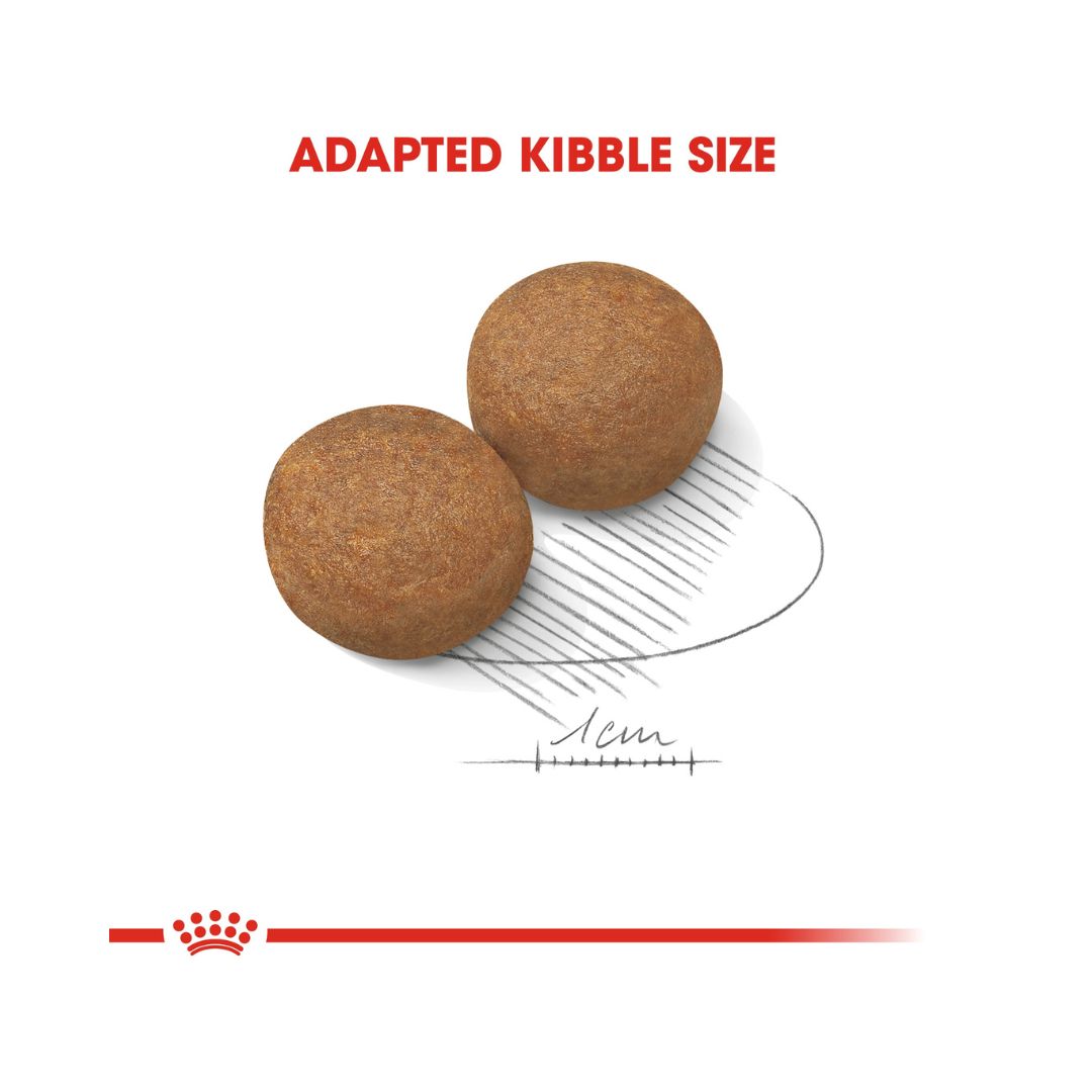Royal Canin Maxi Adult Dog Dry Food - Kibble Size 