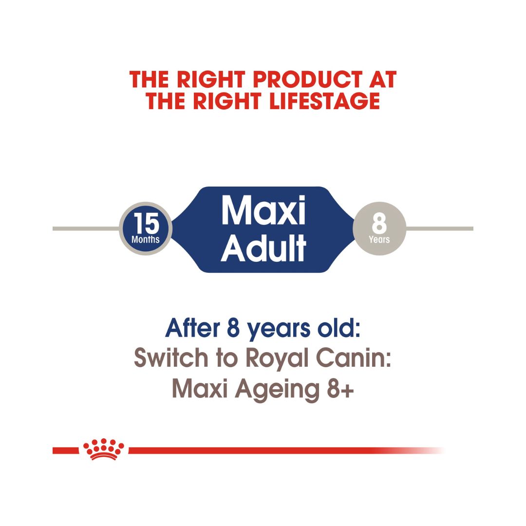 Royal Canin Maxi Adult Dog Gravy Wet Food - Wet food in gravy for large adult dogs. Size and age 