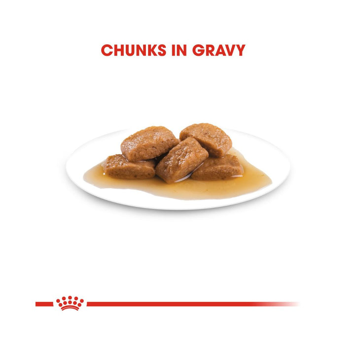 Royal Canin Maxi Adult Dog Gravy Wet Food - Wet food in gravy for large adult dogs. Chunks in Gravy 