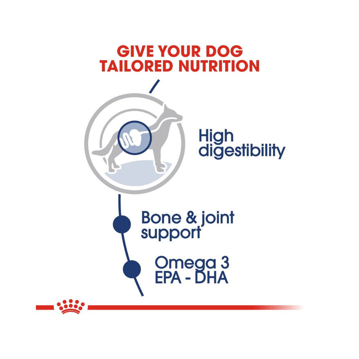 Royal Canin Maxi Adult Dog Gravy Wet Food - Wet food in gravy for large adult dogs. Food benefits 