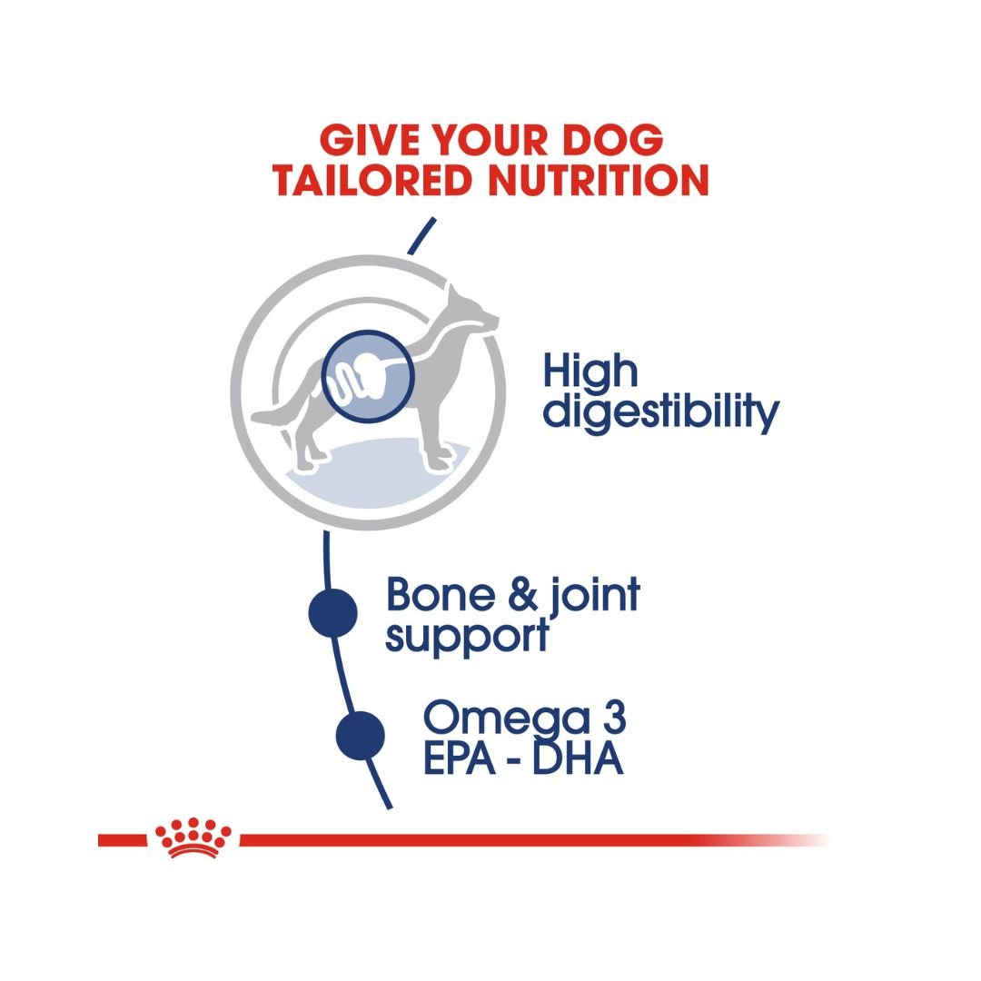 Royal Canin Maxi Adult Dog Gravy Wet Food - Wet food in gravy for large adult dogs. Food benefits 