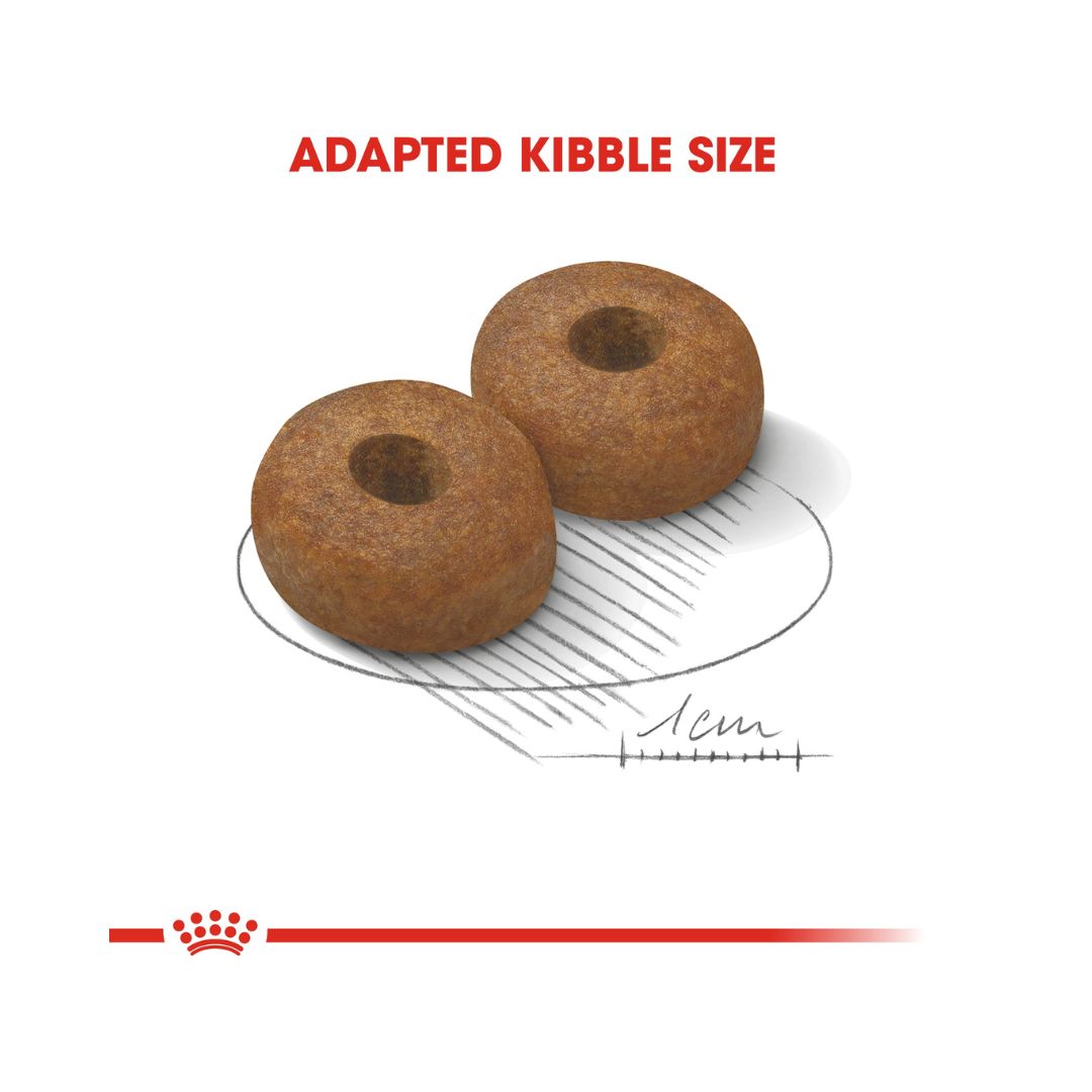 Royal Canin Maxi Ageing 8+ Dog Dry Food - Kibble Size 