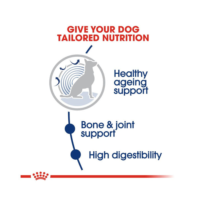 Royal Canin Maxi Ageing 8+ Dog Dry Food Complete feed for large senior dogs 26 to 44 kg over 8 years old 5.