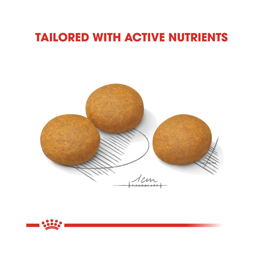 Royal Canin Maxi Dermacomfort Dog Dry Food Complete feed for adult dogs and sizeable mature breed dogs (from 26 to 44 kg) Over 15 months old with Dogs prone to skin irritation and itching 3.