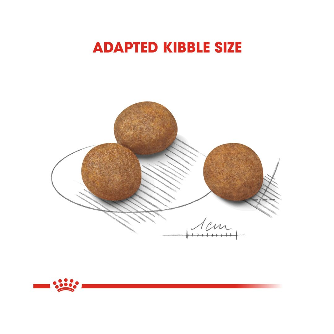 Royal Canin Maxi Puppy Dry Food - Kibble Size 